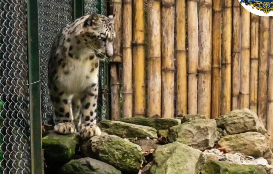 Best of Sikkim & Darjeeling Tour (7 Nights / 8 Days)