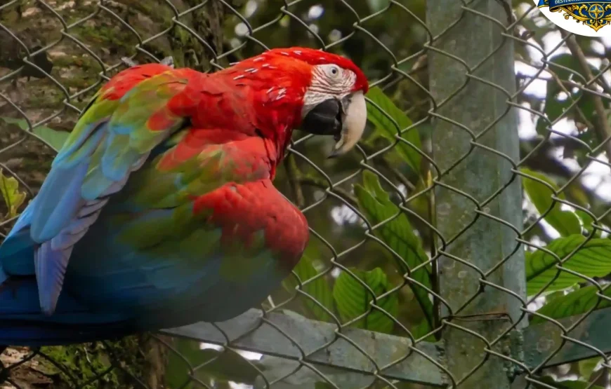 Best of Darjeeling Tour (2 Nights / 3 Days)