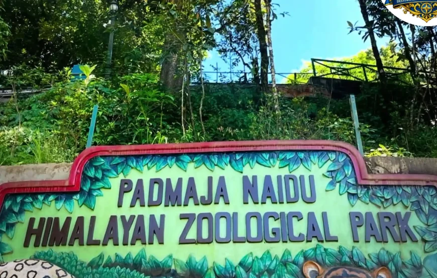 Best of Sikkim & Darjeeling Tour (7 Nights / 8 Days)