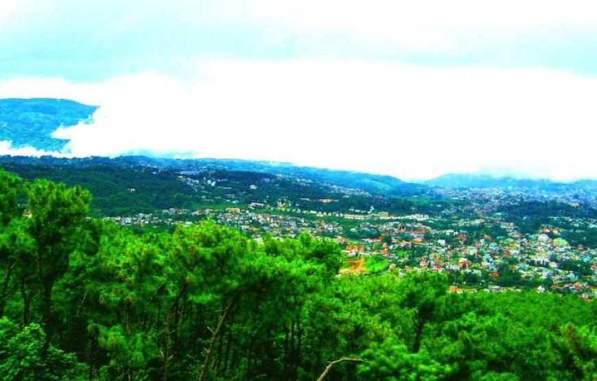 Best of Assam & Meghalaya Tour (10 Nights / 11 Days)