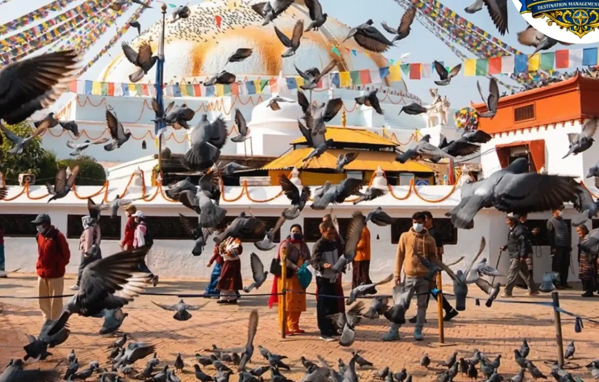 Best of Nepal Tour (8 Nights / 9 Days)