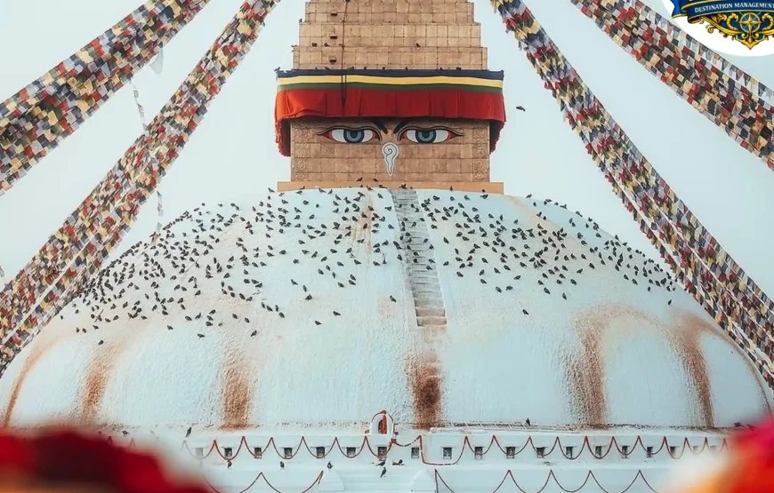 Best of Nepal Tour (8 Nights / 9 Days)