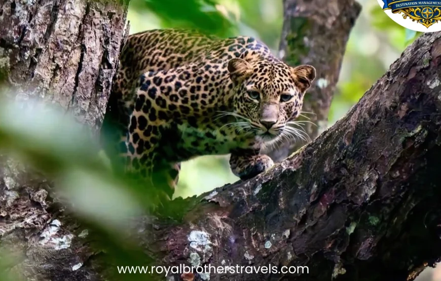 Best of Nepal Tour (8 Nights / 9 Days)