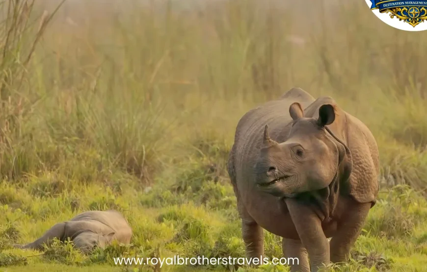 Best of Nepal Tour (8 Nights / 9 Days)