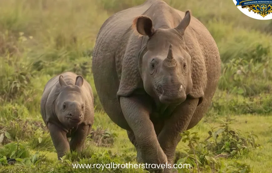 Best of Nepal Tour (8 Nights / 9 Days)