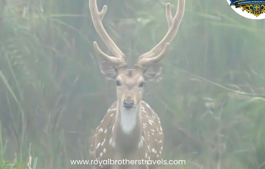 Best of Nepal Tour (8 Nights / 9 Days)