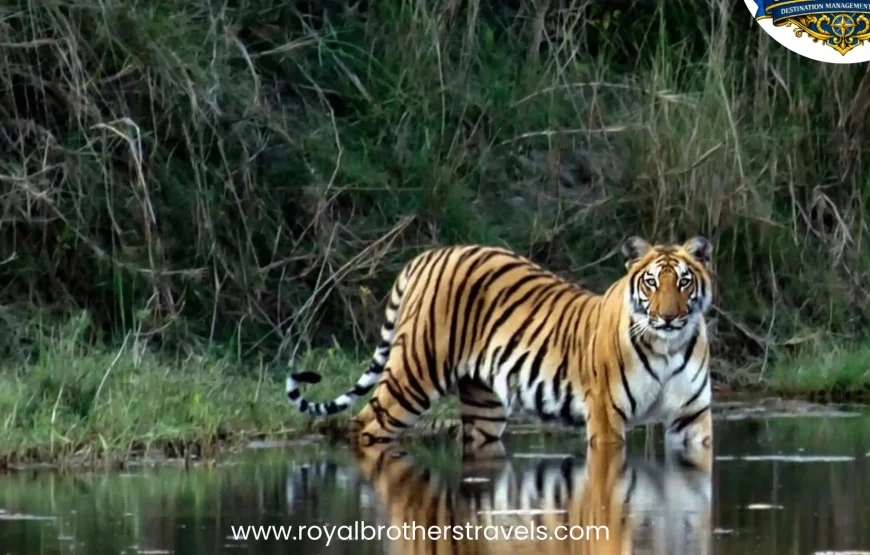 Best of Nepal Tour (8 Nights / 9 Days)