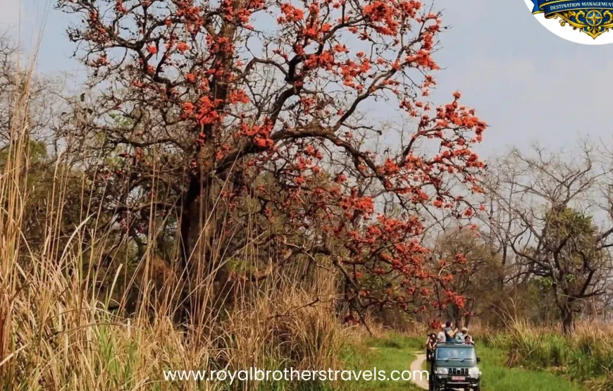 Best of Nepal Tour (8 Nights / 9 Days)