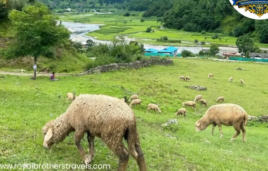 Best of Arunachal Pradesh Tour (5 Nights / 6 Days)