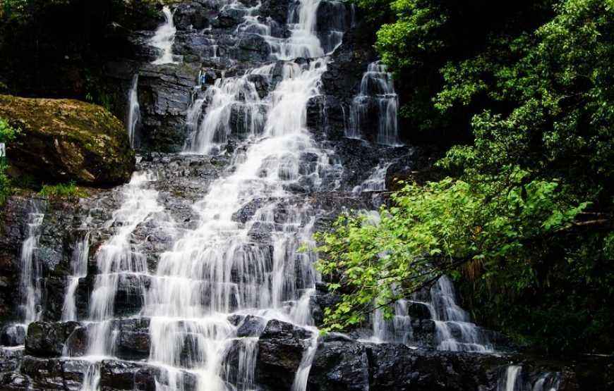 Best of Assam & Meghalaya Tour (10 Nights / 11 Days)