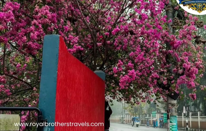 Best of Assam & Meghalaya Tour (10 Nights / 11 Days)