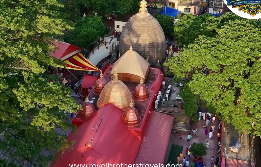 Best of Assam & Meghalaya Tour (10 Nights / 11 Days)