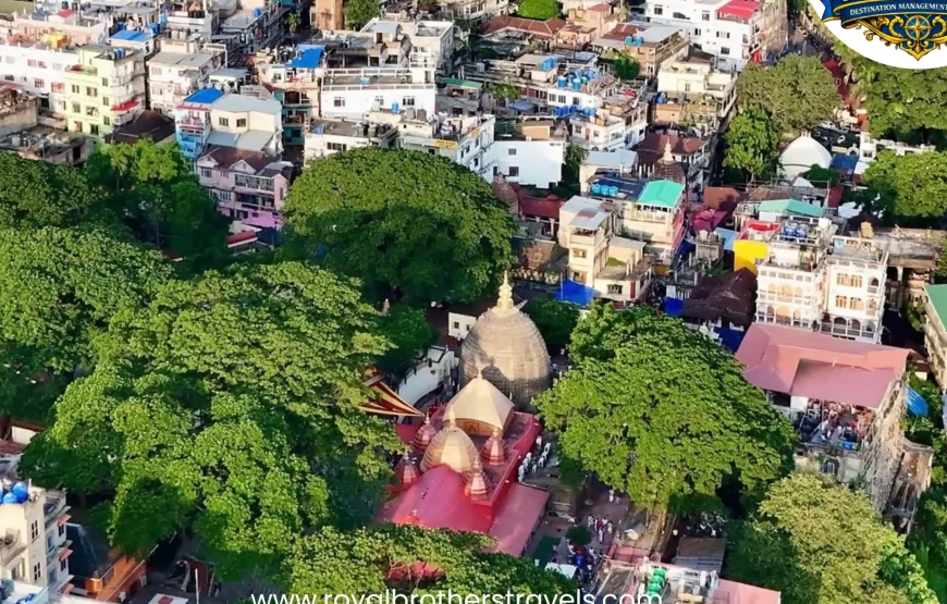 Best of Assam Tour (4 Nights / 5 Days)