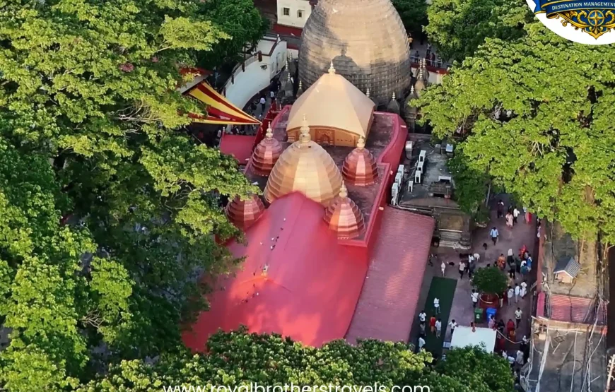 Best of Assam & Meghalaya Tour (10 Nights / 11 Days)