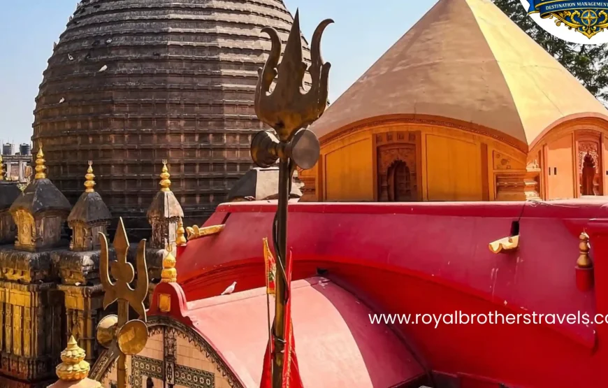 Best of Assam & Meghalaya Tour (10 Nights / 11 Days)