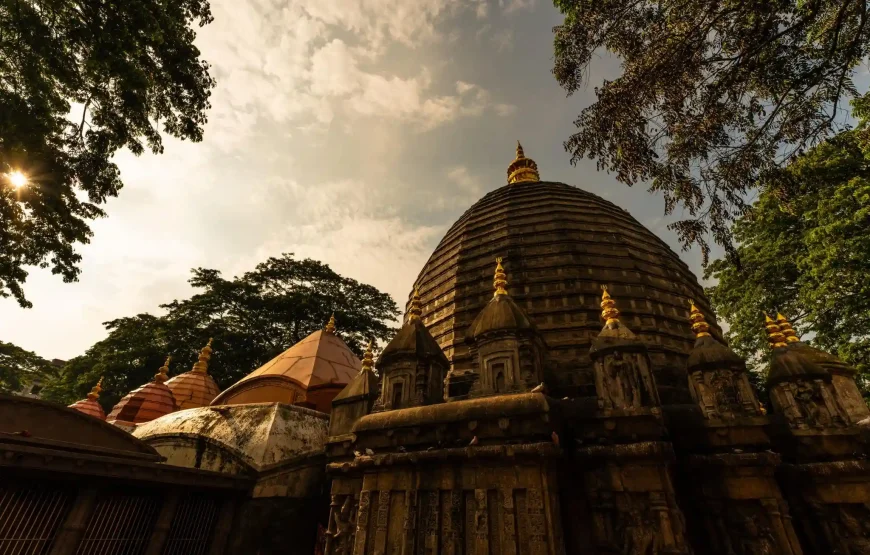 Best of Assam & Meghalaya Tour (10 Nights / 11 Days)