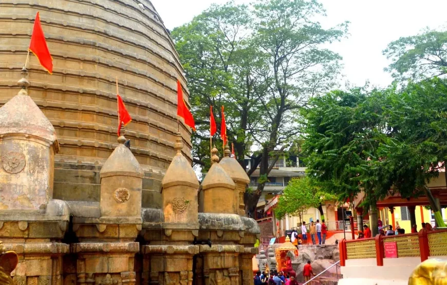 Best of Assam & Meghalaya Tour (10 Nights / 11 Days)