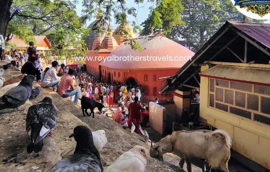 Best of Assam & Meghalaya Tour (10 Nights / 11 Days)