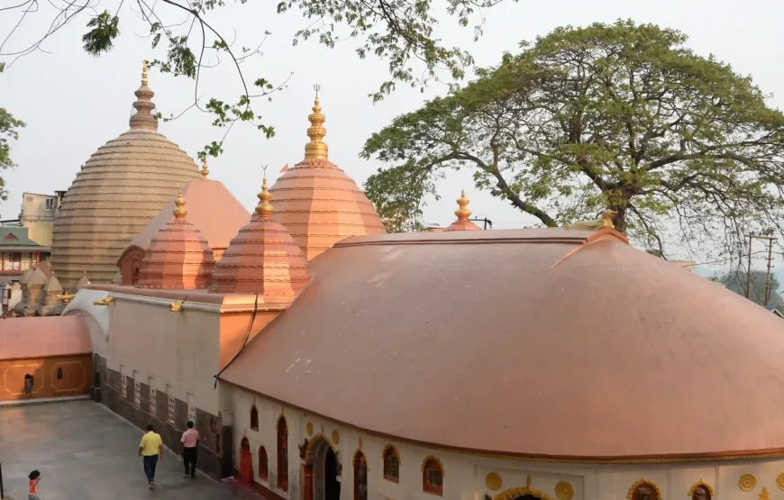 Best of Assam & Meghalaya Tour (10 Nights / 11 Days)