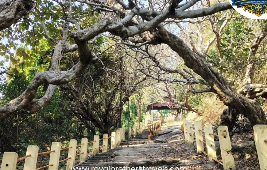 Best of Assam & Meghalaya Tour (10 Nights / 11 Days)