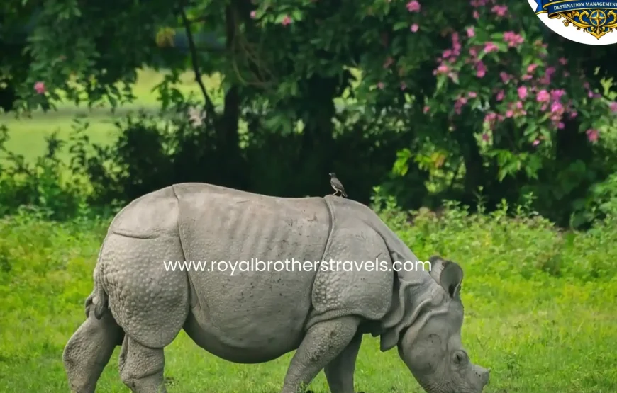 Best of Assam & Meghalaya Tour (10 Nights / 11 Days)