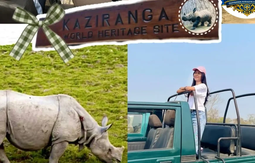 Best of Assam & Meghalaya Tour (10 Nights / 11 Days)