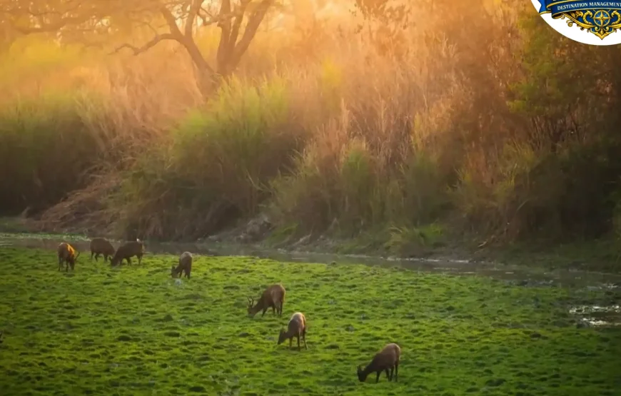 Best of Assam & Meghalaya Tour (10 Nights / 11 Days)