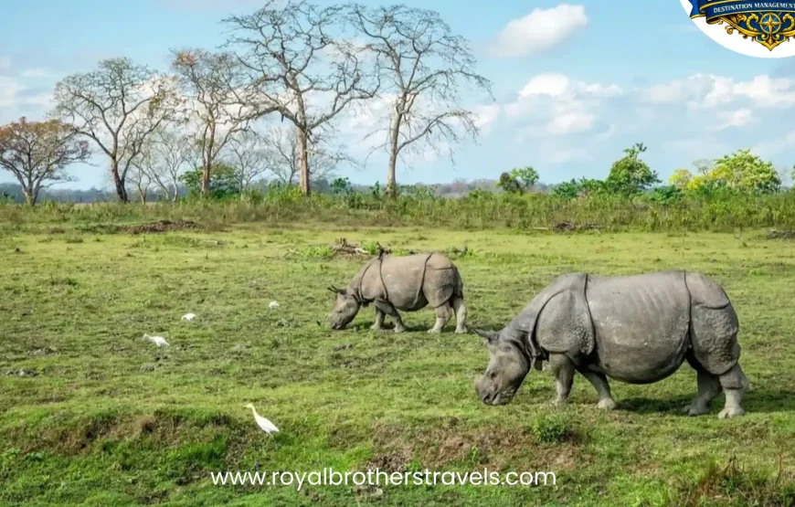 Best of Assam & Meghalaya Tour (10 Nights / 11 Days)