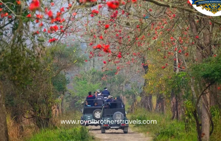 Best of Assam & Meghalaya Tour (10 Nights / 11 Days)