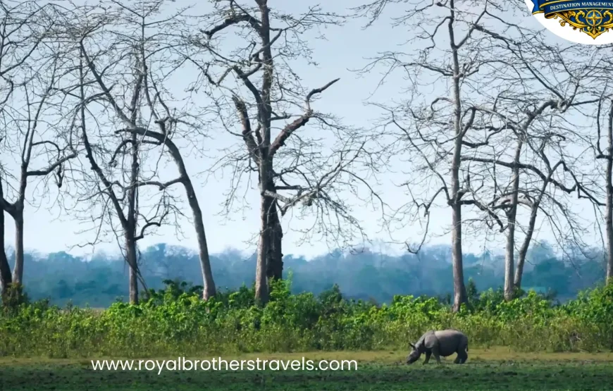 Best of Assam & Meghalaya Tour (10 Nights / 11 Days)