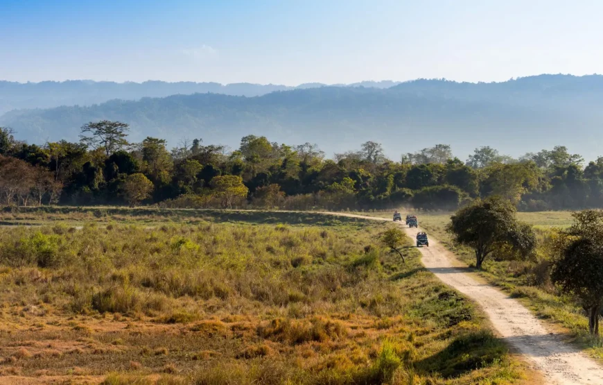 Best of Assam & Meghalaya Tour (10 Nights / 11 Days)