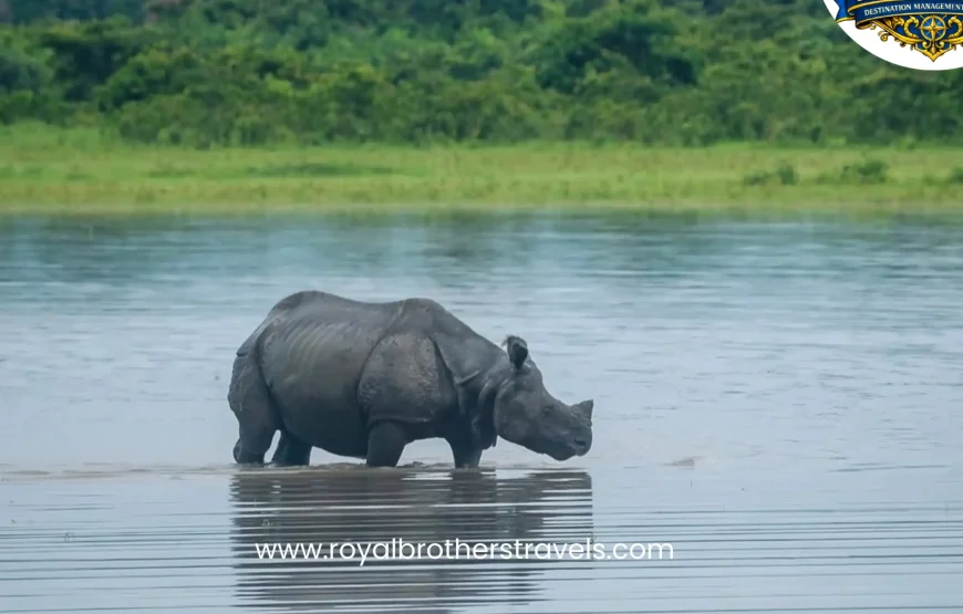 Best of Assam & Meghalaya Tour (10 Nights / 11 Days)