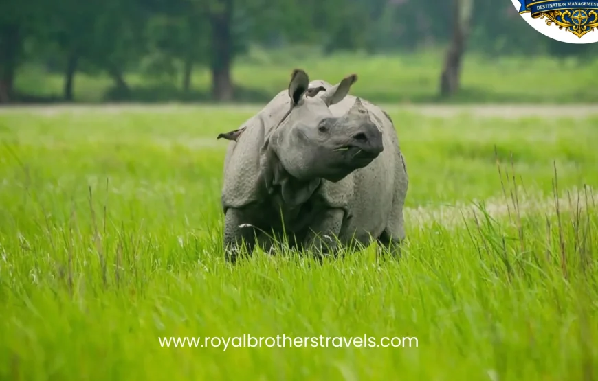 Best of Assam & Meghalaya Tour (10 Nights / 11 Days)