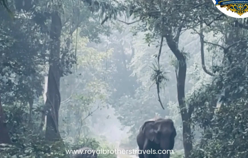 Best of Assam & Meghalaya Tour (10 Nights / 11 Days)