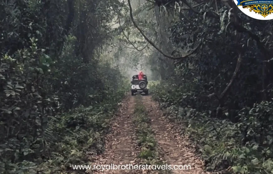 Best of Assam & Meghalaya Tour (10 Nights / 11 Days)