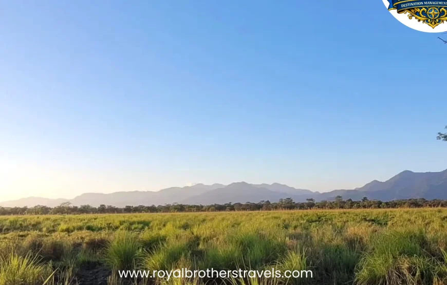 Best of Assam & Meghalaya Tour (10 Nights / 11 Days)