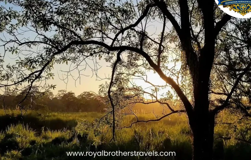 Best of Assam & Meghalaya Tour (10 Nights / 11 Days)