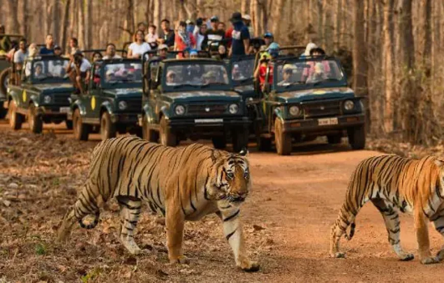 Best of Assam & Meghalaya Tour (10 Nights / 11 Days)