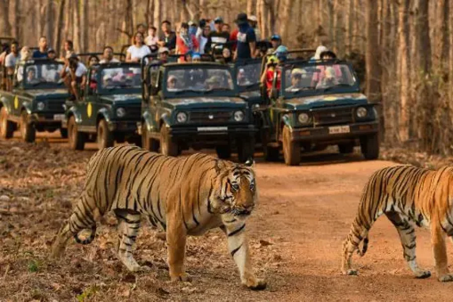 Best of Assam, Meghalaya & Arunachal Pradesh (14 Nights / 15 Days)