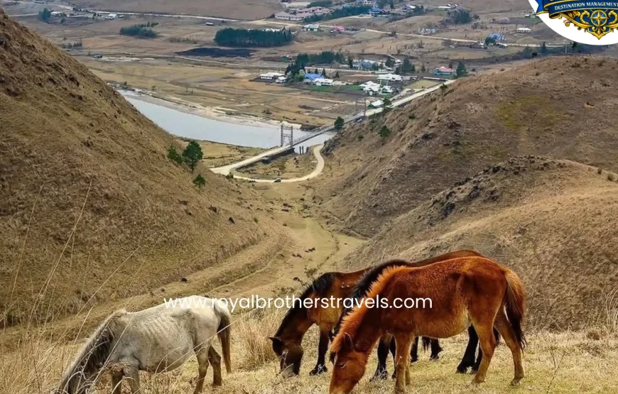 Best of Arunachal Pradesh Tour (5 Nights / 6 Days)