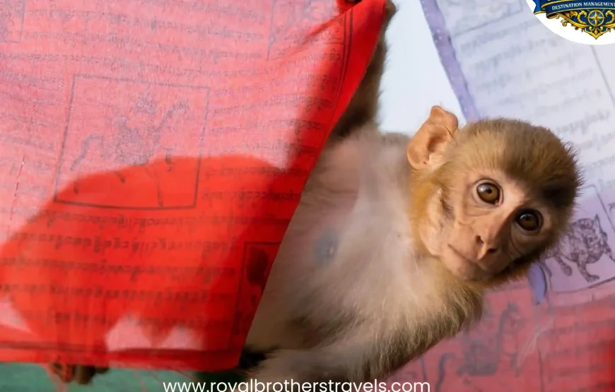 Best of Nepal Tour (8 Nights / 9 Days)