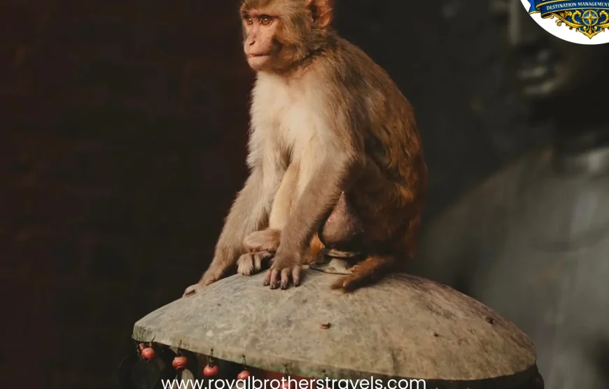 Best of Nepal Tour (8 Nights / 9 Days)